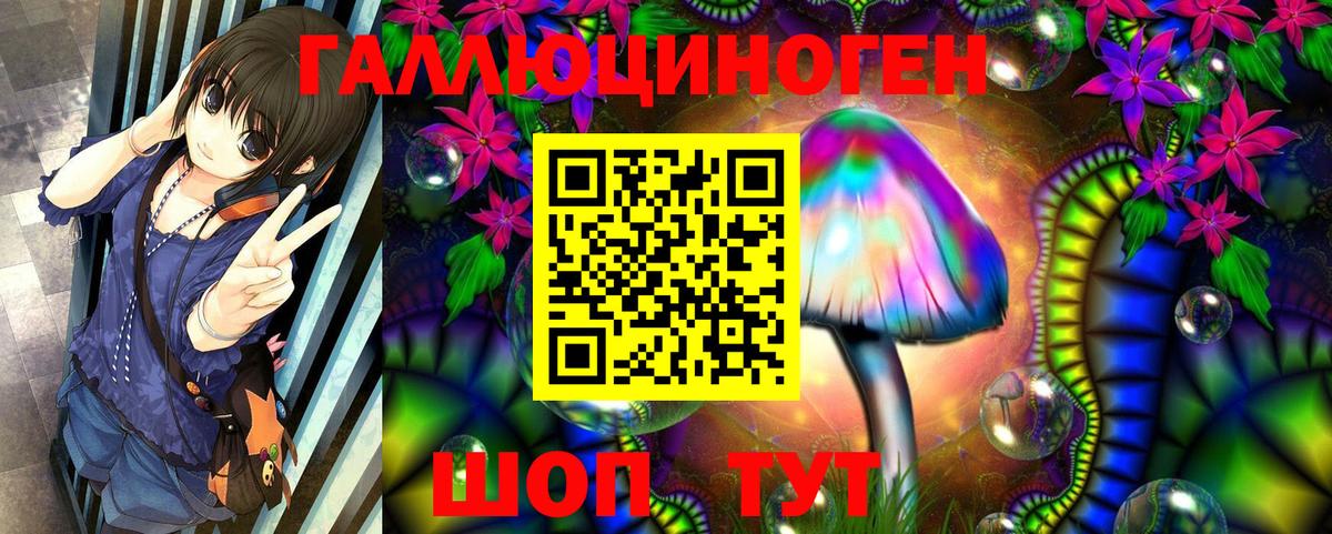 Галлюциногенные грибы Psilocybe Саянск