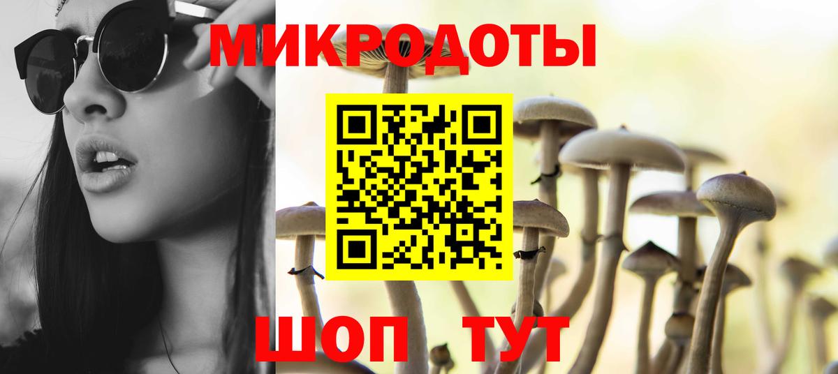 Псилоцибиновые грибы MAGIC MUSHROOMS  Вход с VPN  Саянск  Галлюциногенные грибы Psilocybine cubensis 